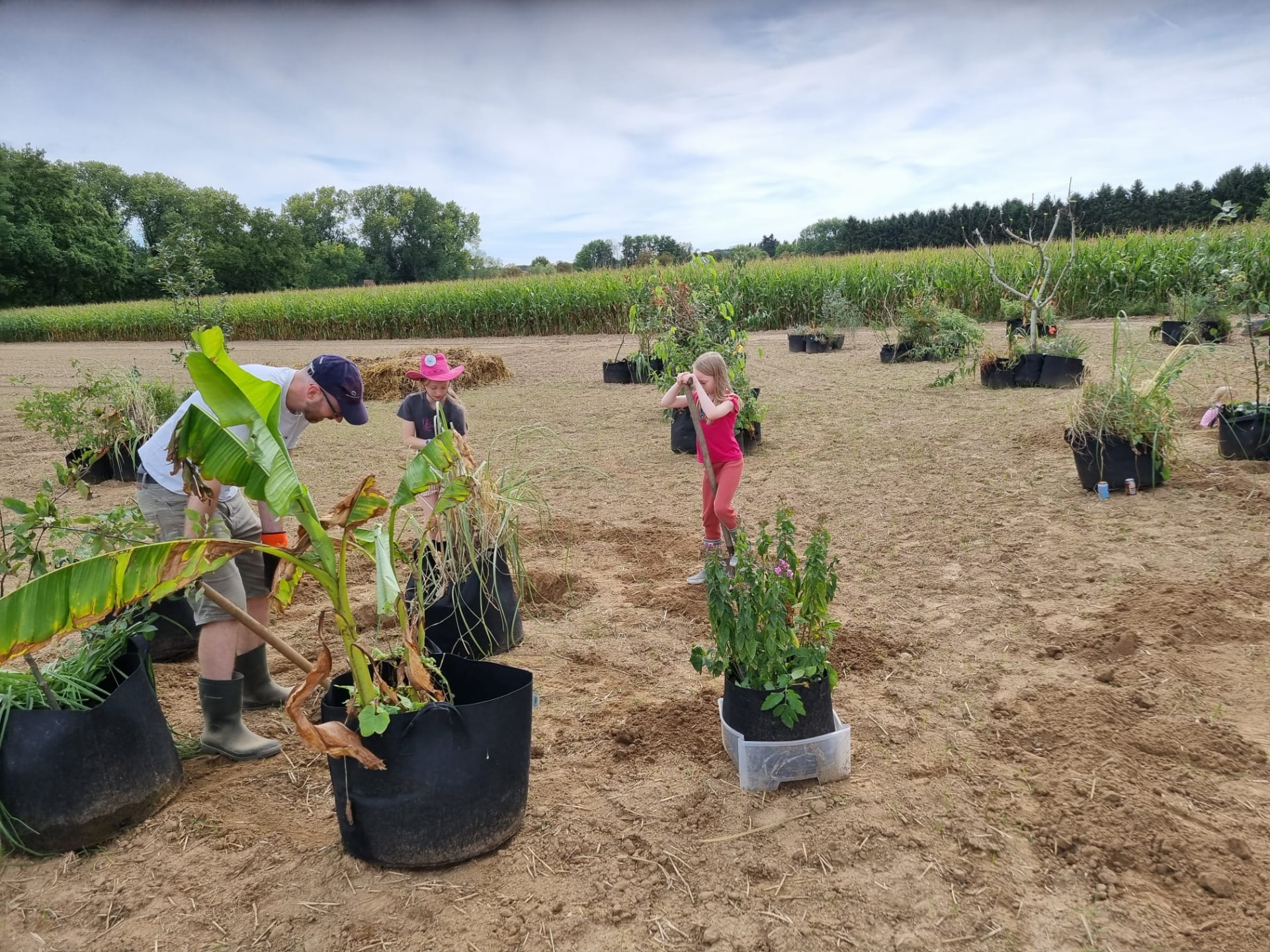 Samen planten en water geven op een warme namiddag