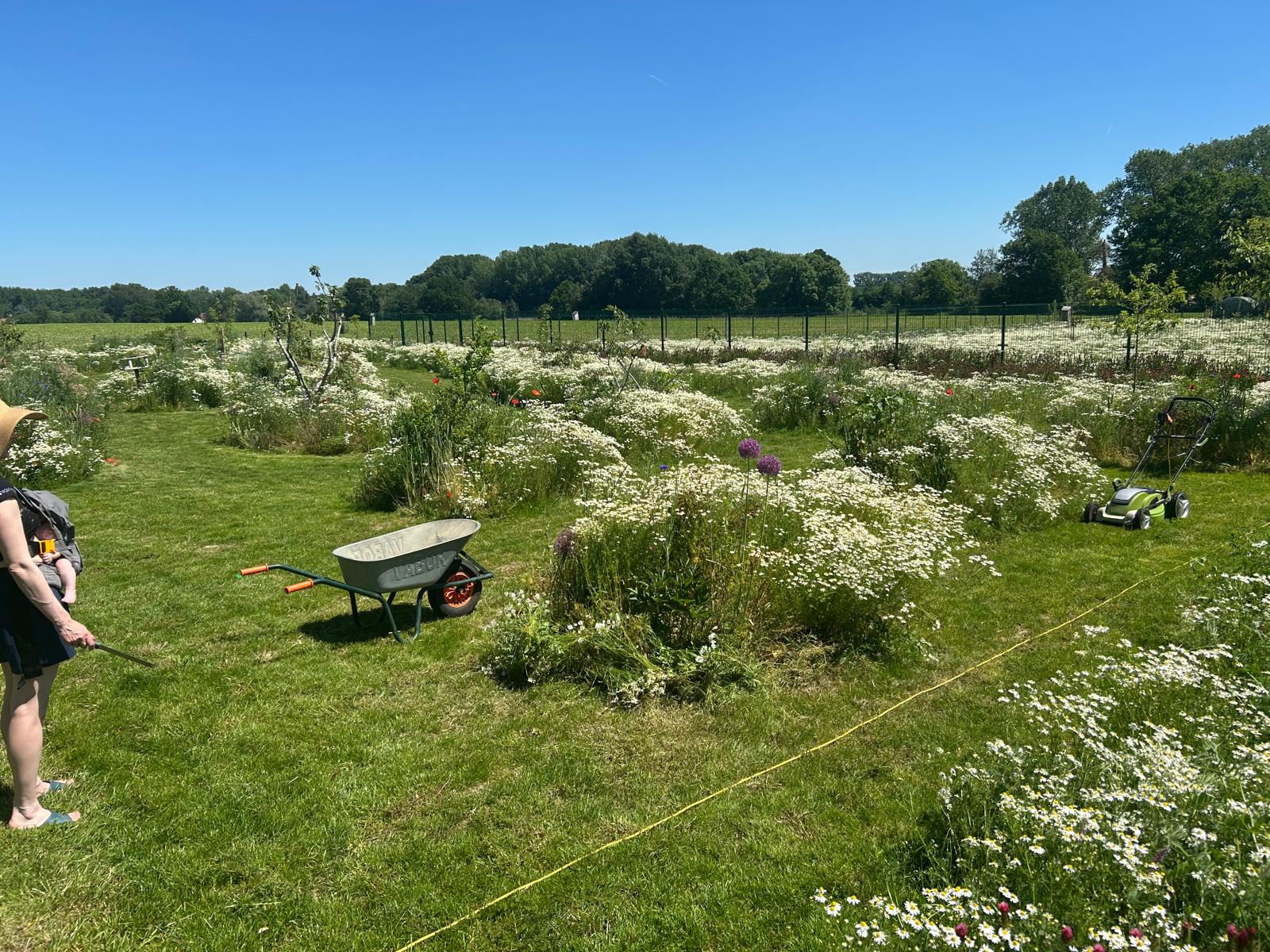 Onderhoud van de bloemenweide met gemaaide wandelpaden