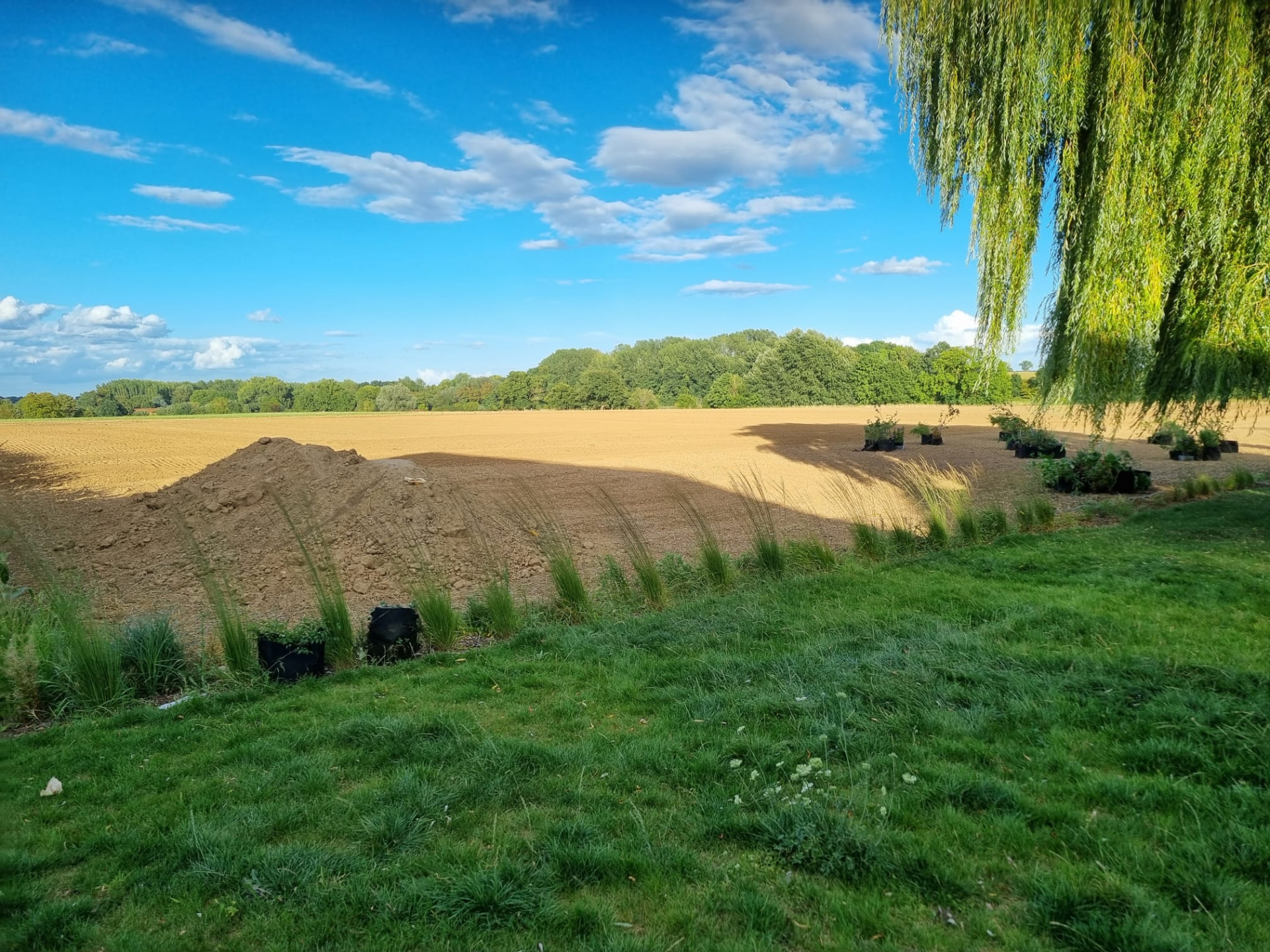 Uitzicht over de testsite met treurwilg en akker langs de Velpestraat