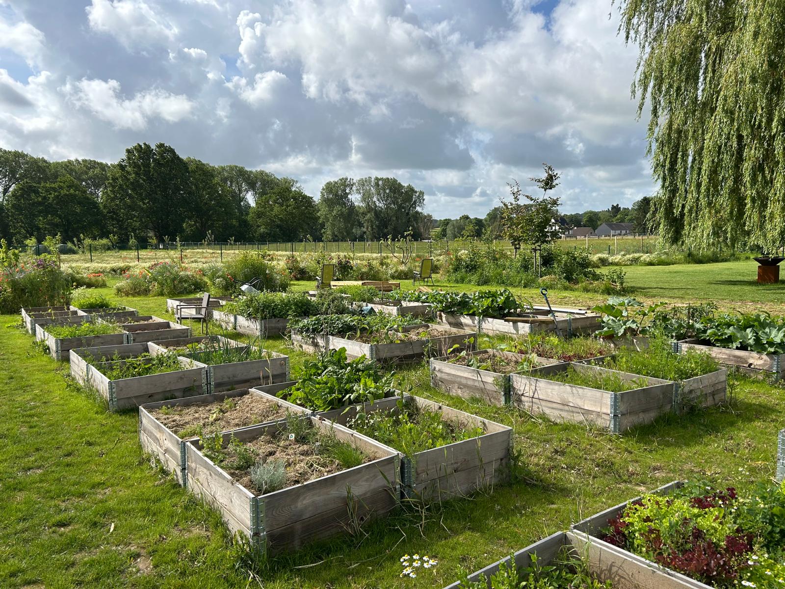 Combinatie van plantbakken, bloemenweide en grasland