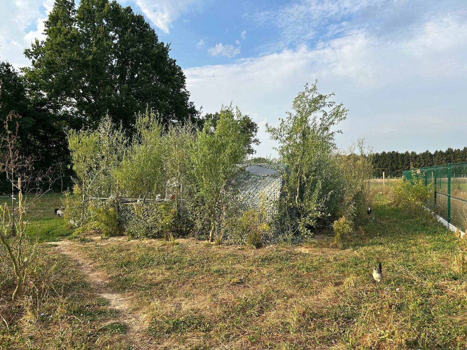 Groene buitenren voor de Belgische neerhofdieren