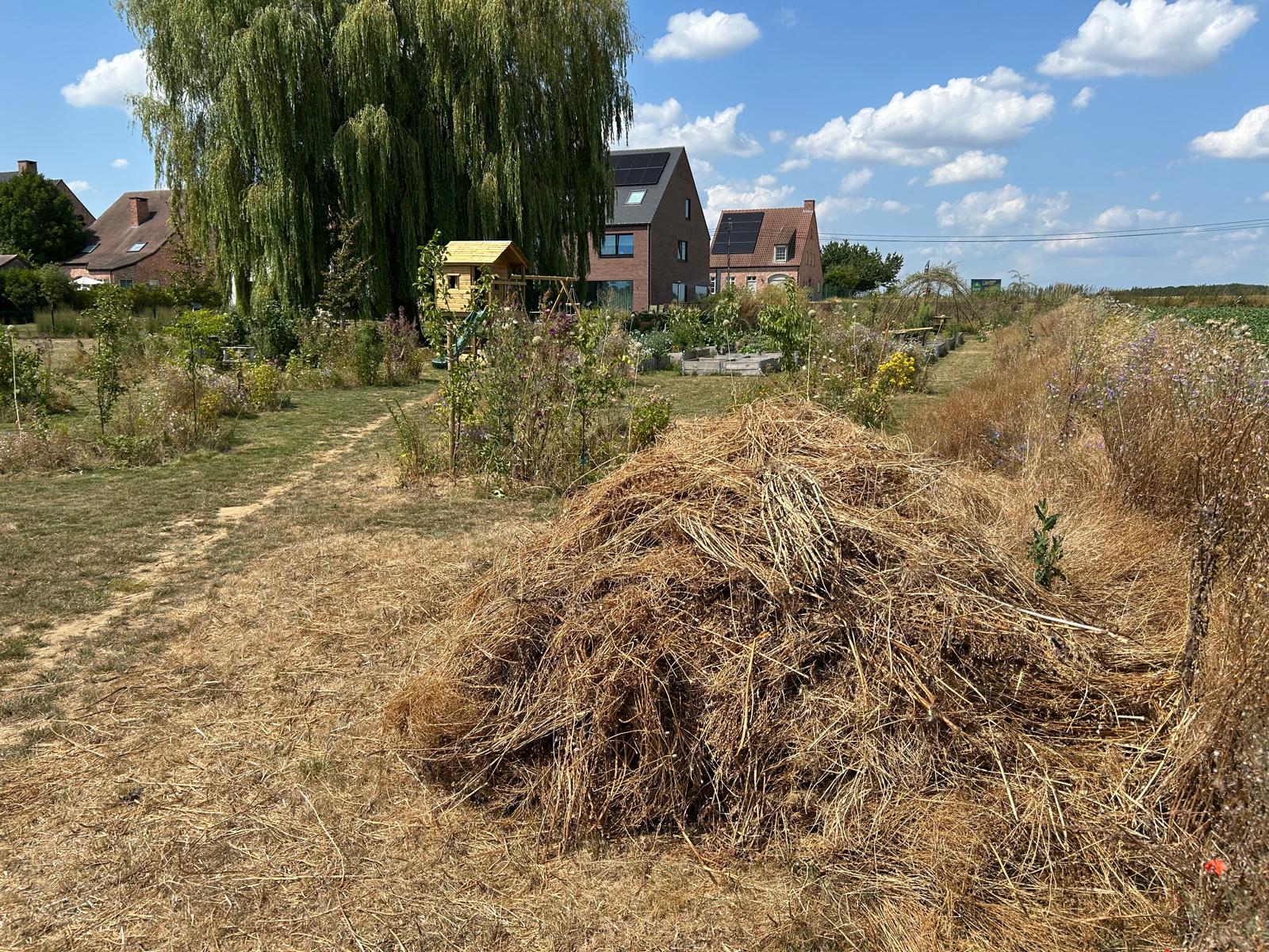 Hooihoop van gemaaid gras blijft liggen als schuilplaats voor insecten en kleine dieren