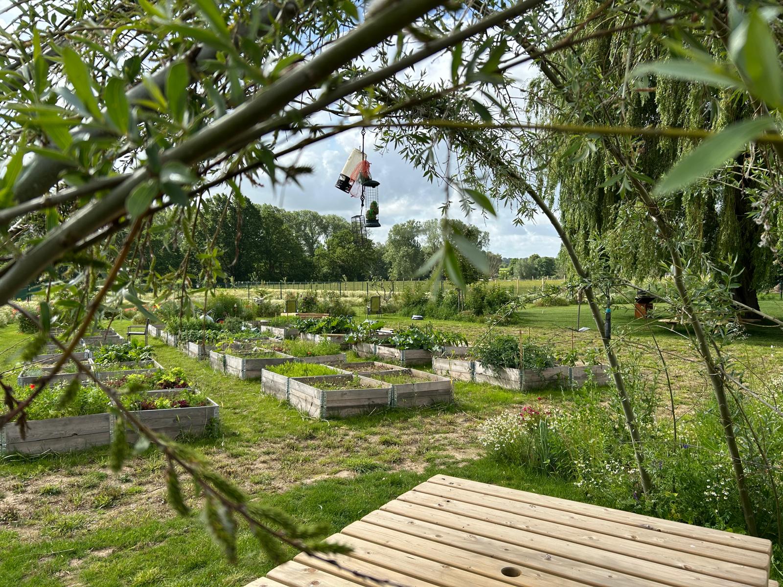 Zicht door de wilgentakken op de plantbakken en voedertafels