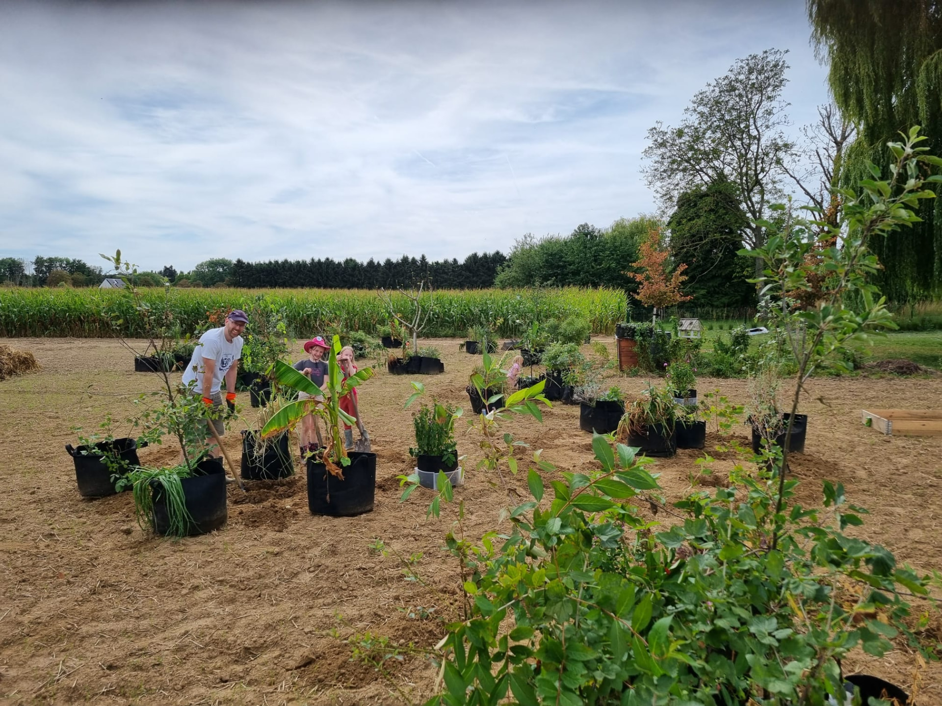 Overzicht van de testsite met plantvakken langs het maïsveld