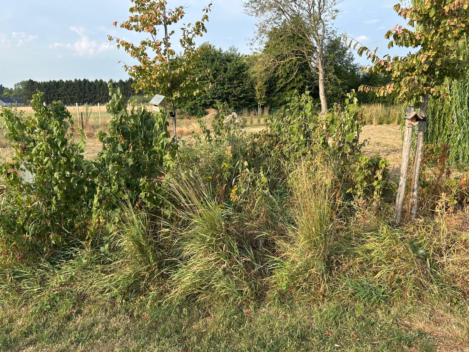 Ruige beplanting als beschutting voor kleine dieren