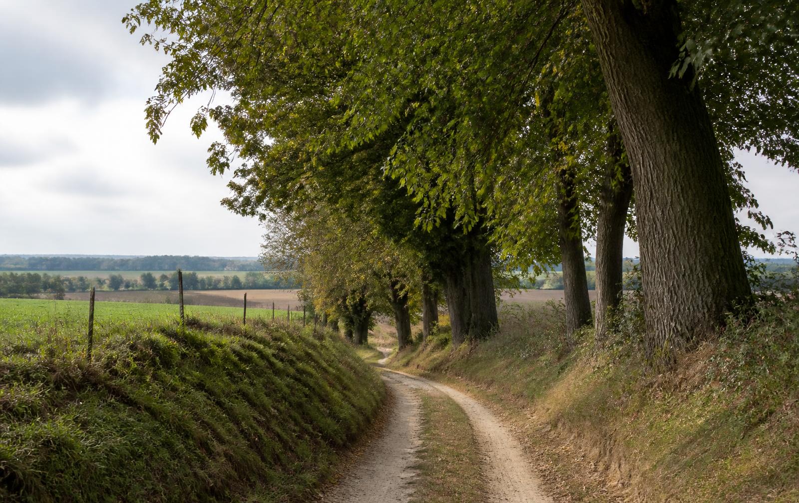 Open landbouwlandschap met holle weg en wandelpad