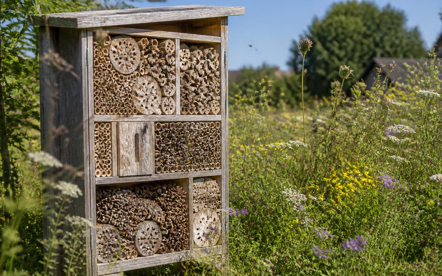 Groot insectenhotel van hout en riet naast een bloemenweide
