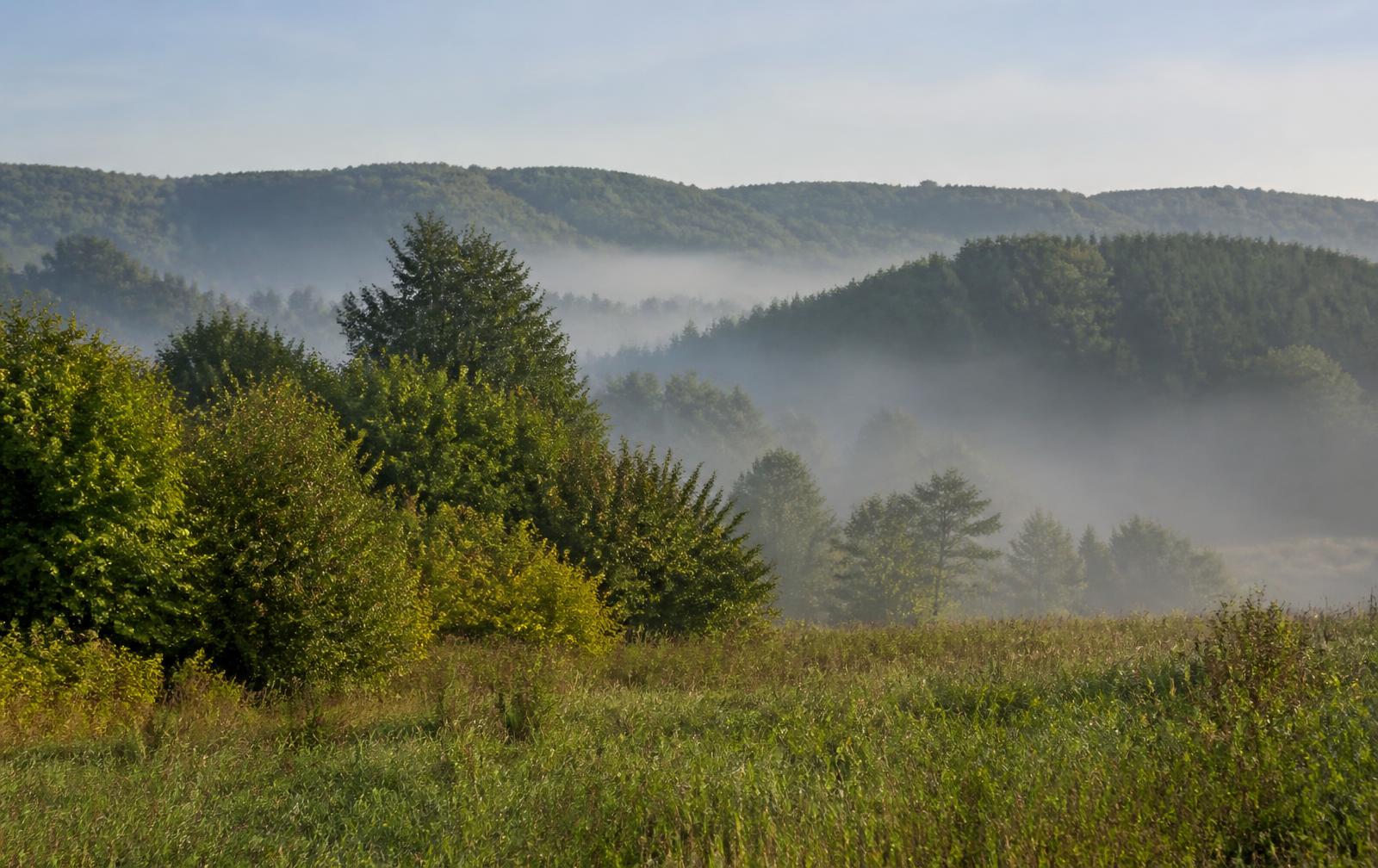 Bosrijk heuvellandschap in de streek Roztocze